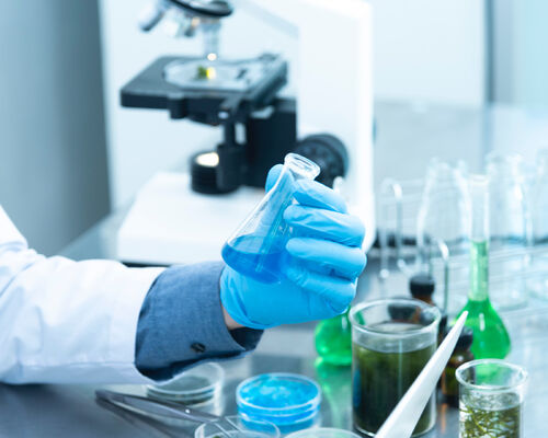 Transnational Collaboration